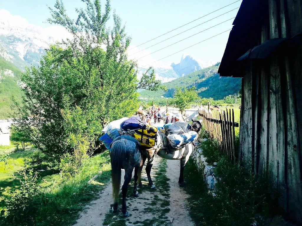 Alloggio per agriturismo Bujtina Polia Villa Theth Albania